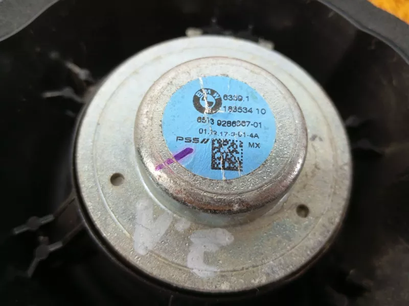 Динамик двери BMW X6 2019 65139286367 2 N57D30A, задний левый