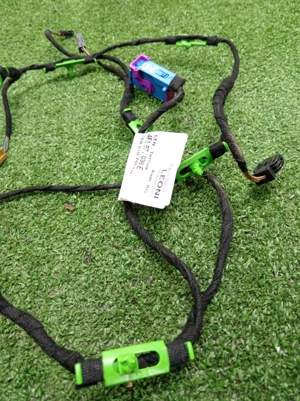 Проводка двери